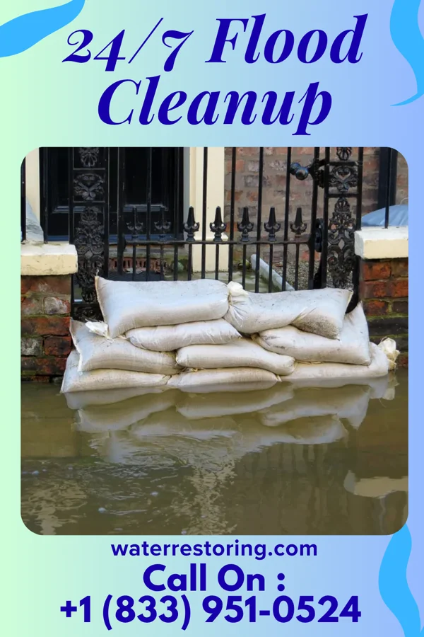 24/7 Flood Cleanup in Freeborn, MN