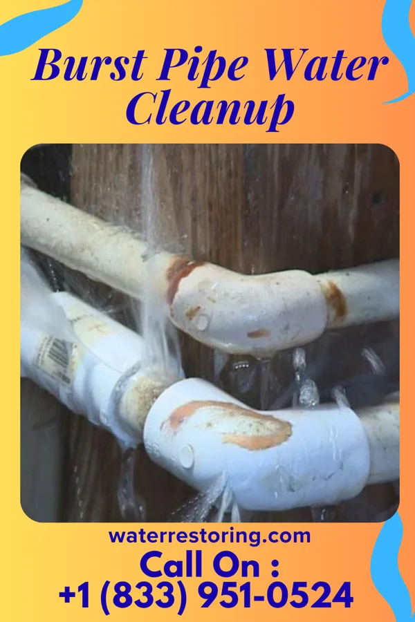 Burst Pipe Water Cleanup in Freeborn, MN