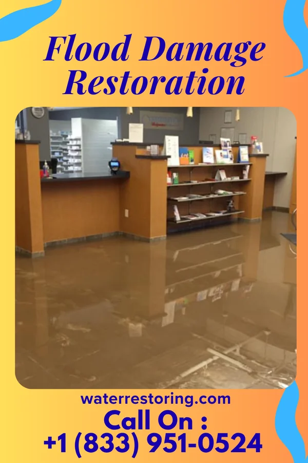 Flood Damage Restoration in Freeborn, MN