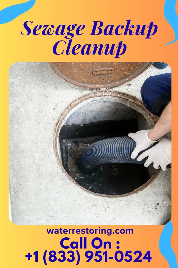 Sewage Backup Cleanup in Freeborn, MN